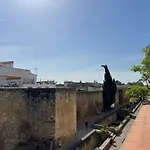 Algafequi Con Terraza Privada 코르도바