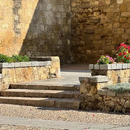Algafequi Con Terraza Privada דירה קורדובה