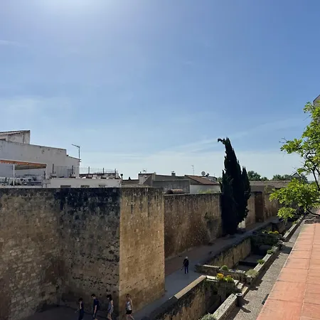 Algafequi Con Terraza Privada קורדובה