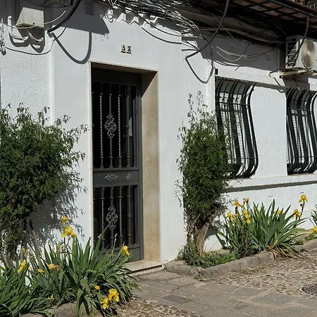 Algafequi Con Terraza Privada דירה