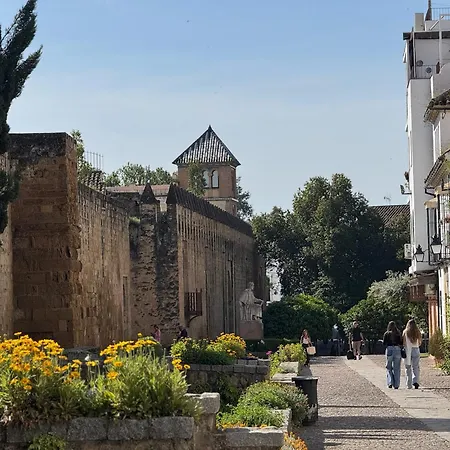 דירה Algafequi Con Terraza Privada קורדובה